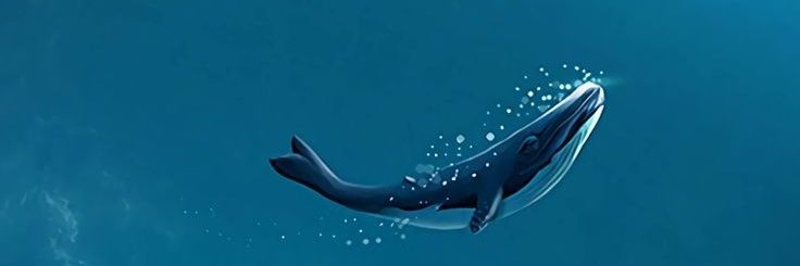 nduyasmuggle's profile banner image