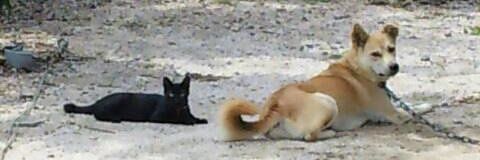 乳母車の弥七 banner