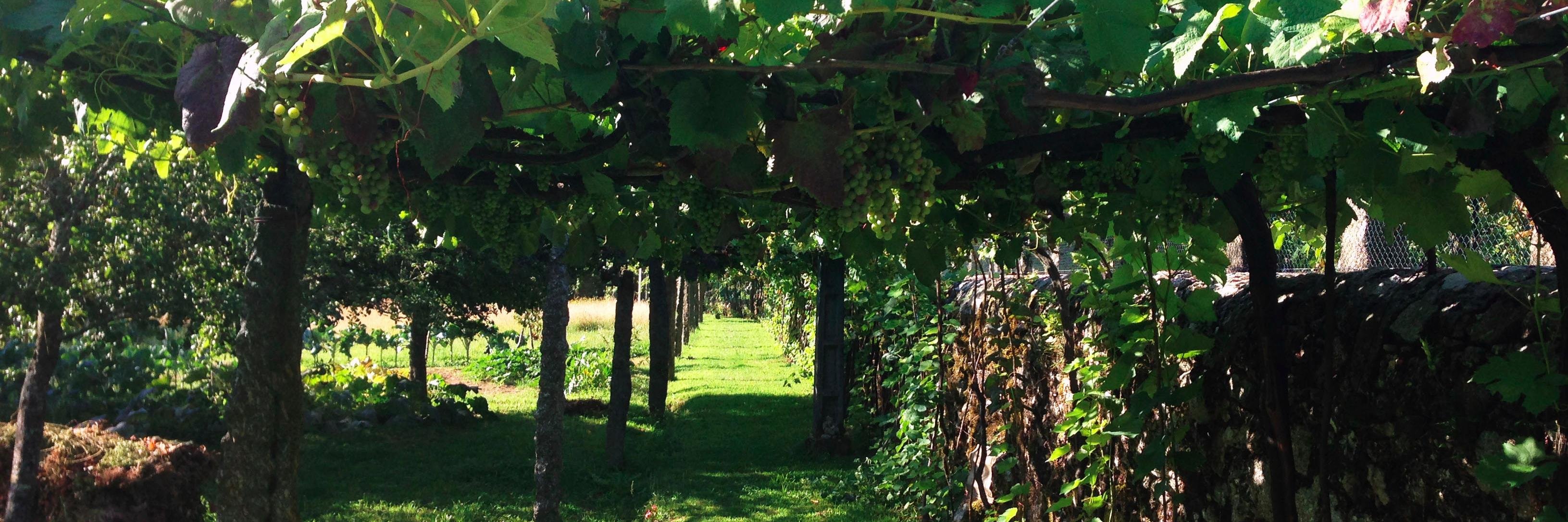 vinsnaturels's profile banner image