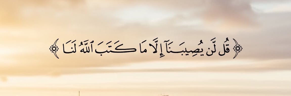 zaid antari banner