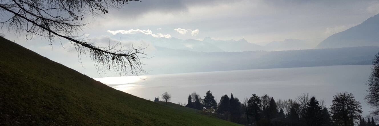 SwissRevUS's profile banner image