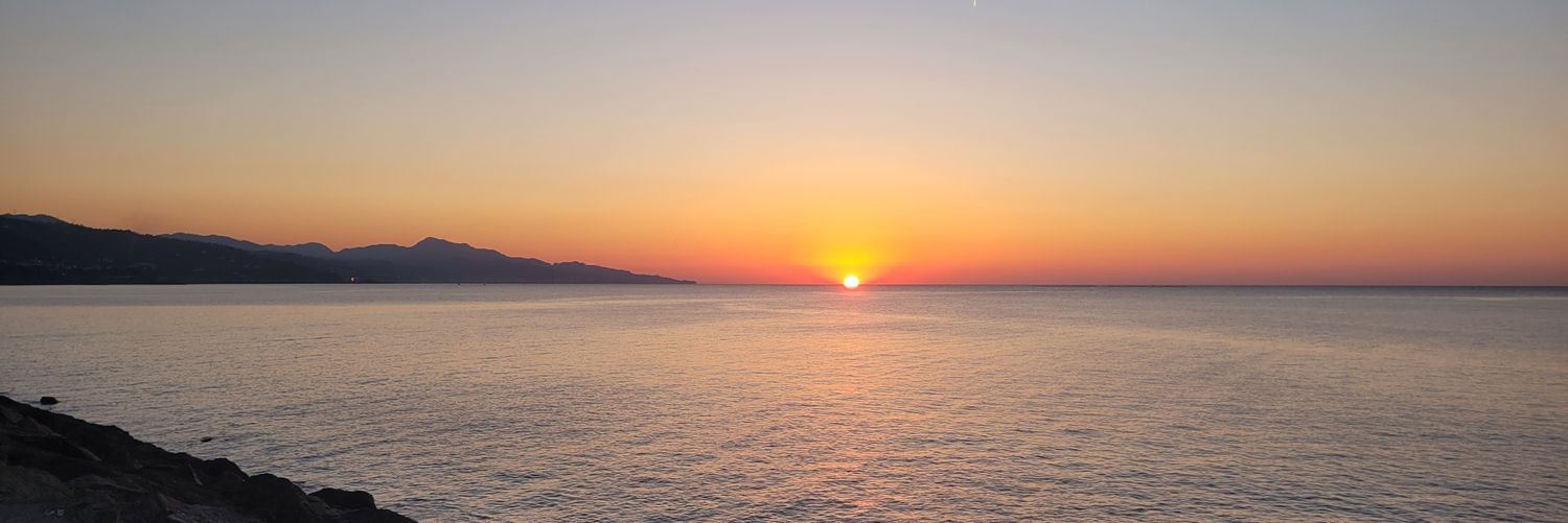 Murat Mind Dump banner