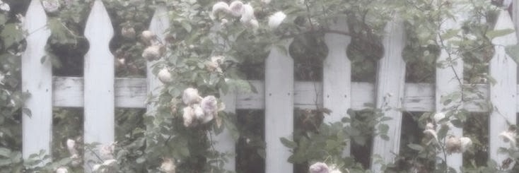 ⋆𐙚˚࿔𝓉𝒶𝓁𝒾𝒶 𝜗𝜚˚⋆ banner