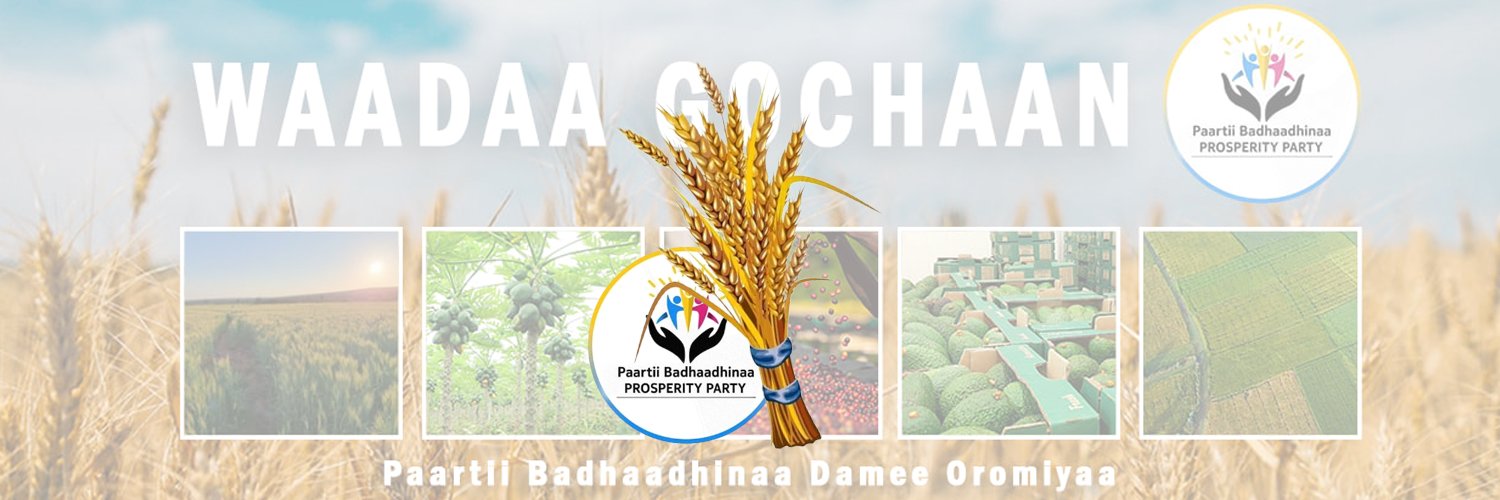 Oromia Prosperity Party / OPP / banner