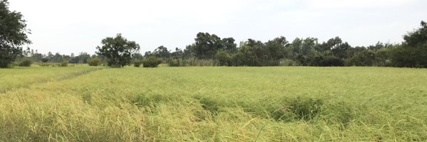PhumBoonklang Profile Banner