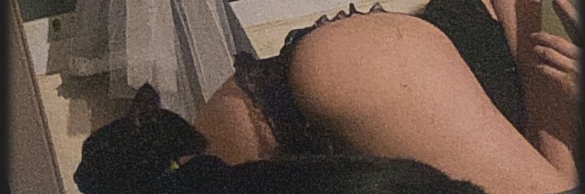 貓 banner