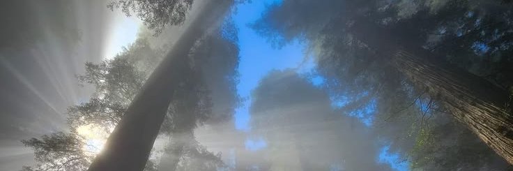 ceiyda banner