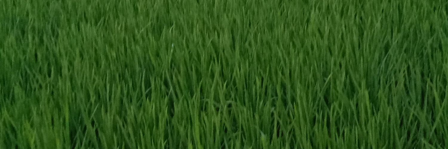 CdShreyas's profile banner image