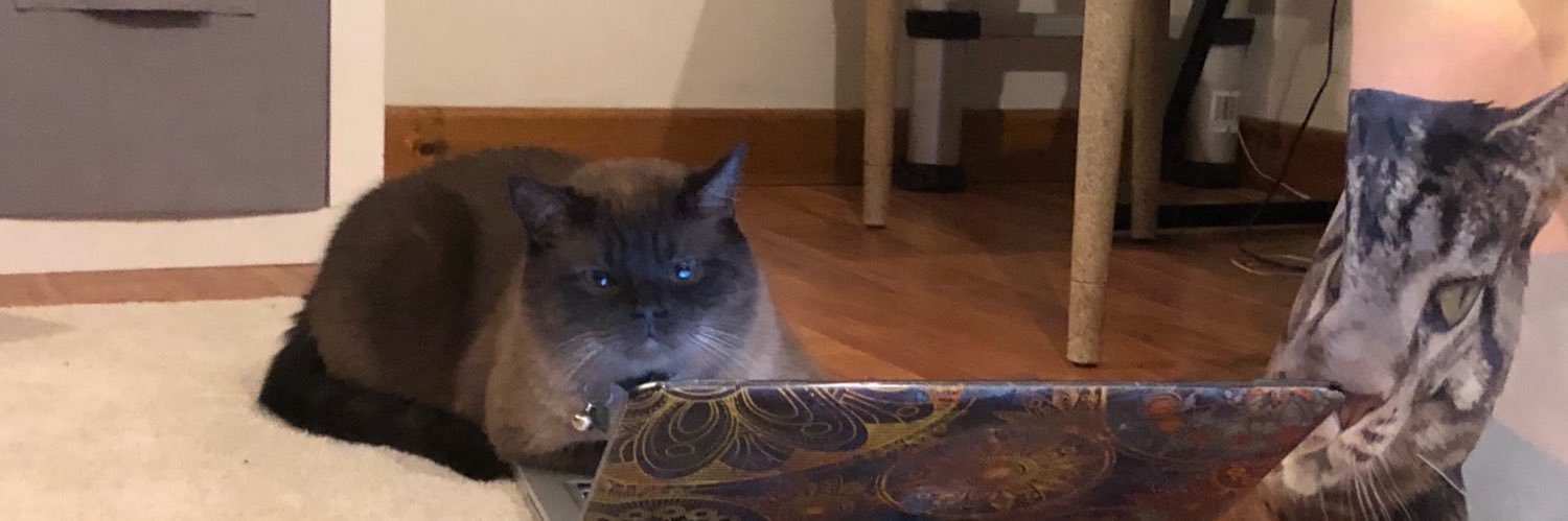 jongrheu's profile banner image