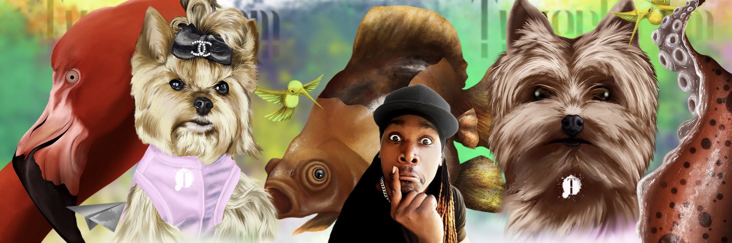 TygerB_com's profile banner image