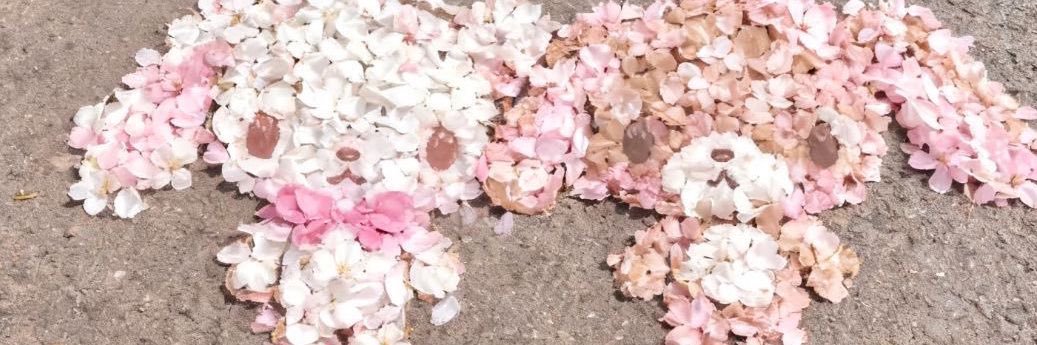 むちょ🌷 banner