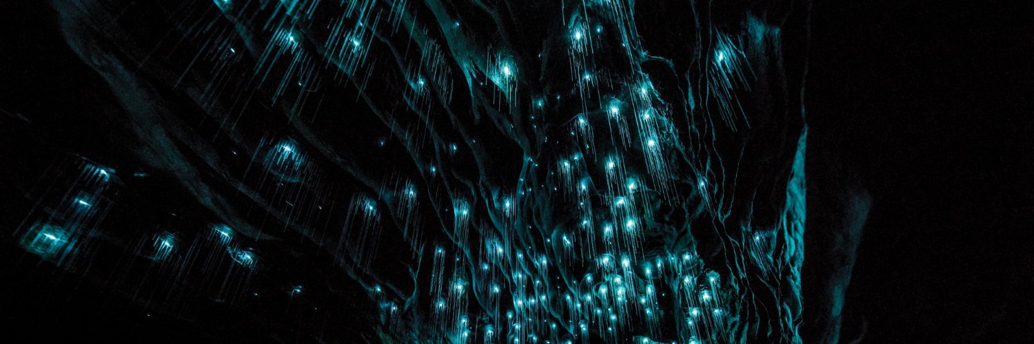 Valentin Magnon banner