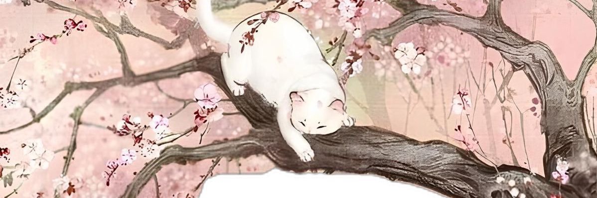 🍥 banner