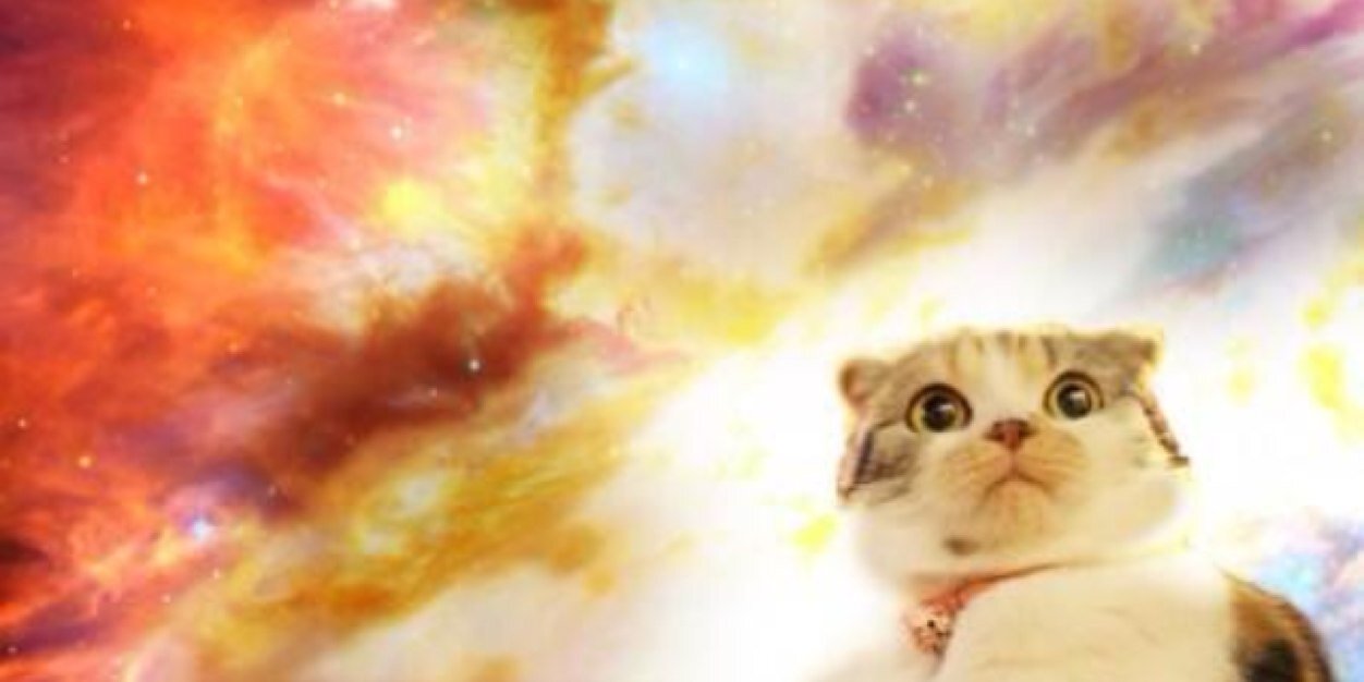 JediMolt's profile banner image