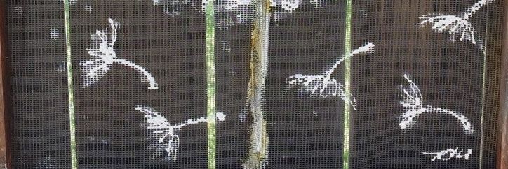 dandelion banner