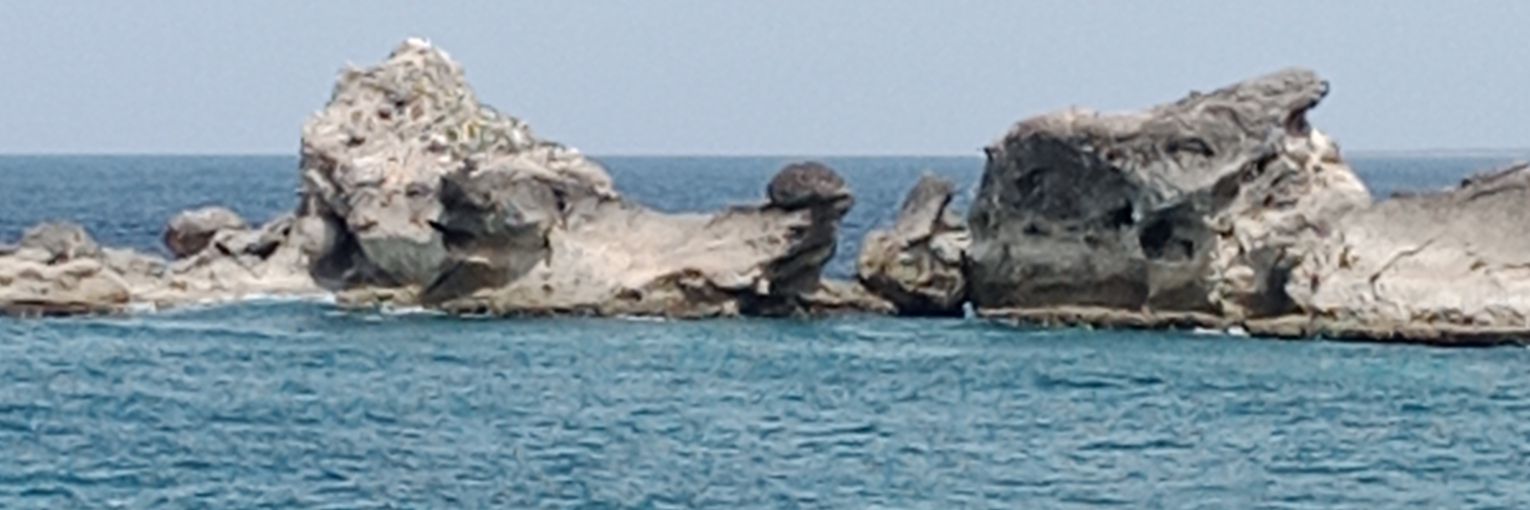 Le Contestataire 🇬🇵 banner