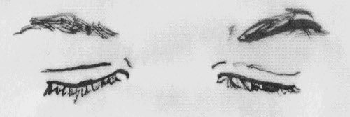 ＷＩＬＬＩＡＭＳ banner