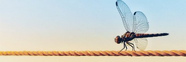 J_U_L_I_E_T_cox Profile Banner