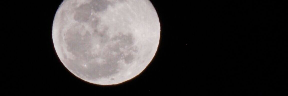 Homen de Lata banner