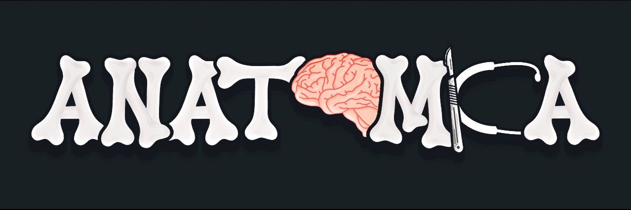 RealAnatomica's profile banner image