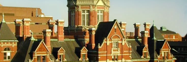 Rea 猫 being extrovert banner