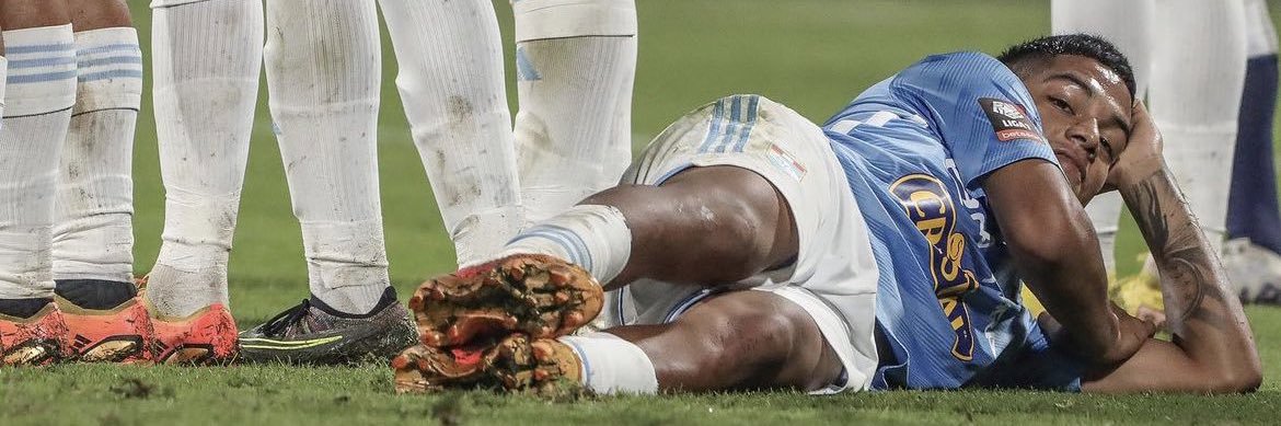 flavioinam's profile banner image