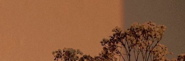 _chocomilkshake's profile banner image