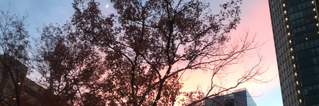 AnneMarieBerg4's profile banner image