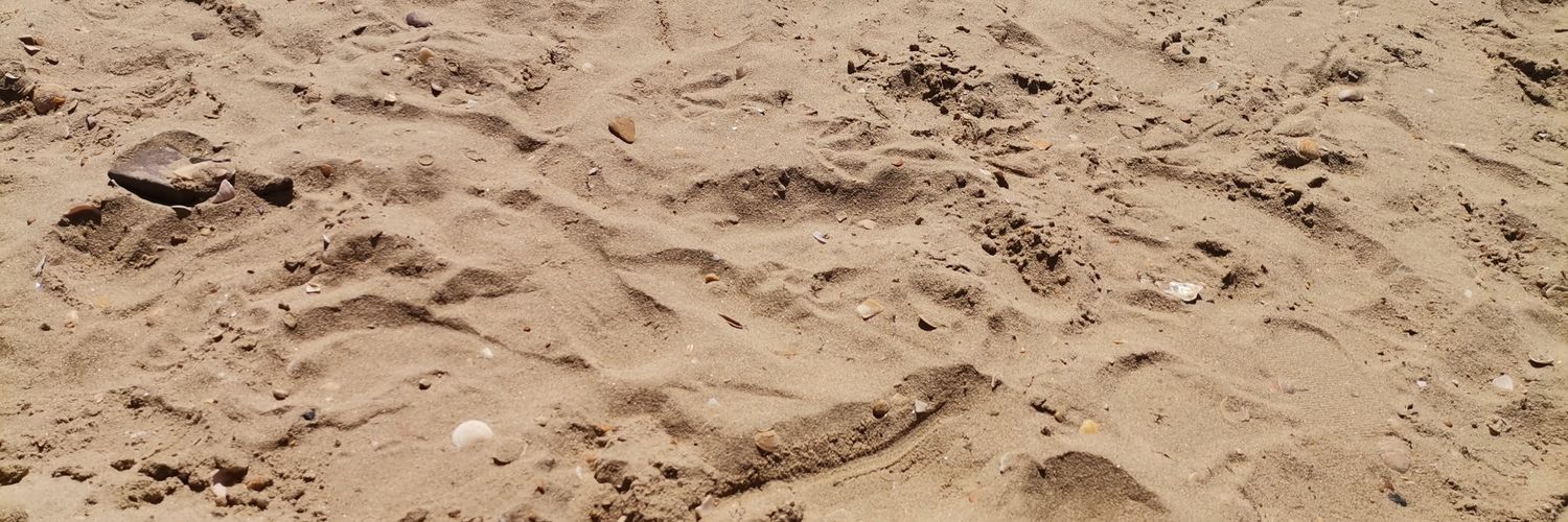 sturbolover's profile banner image