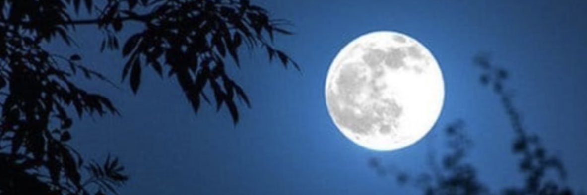 مون سون 🌙 banner