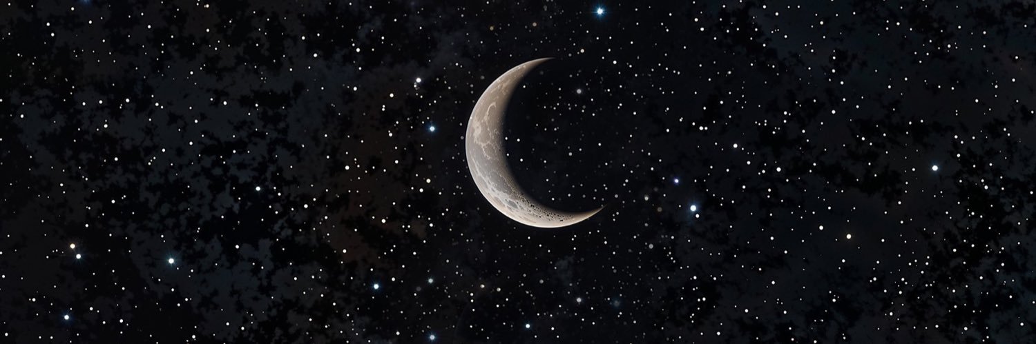 Ploy banner