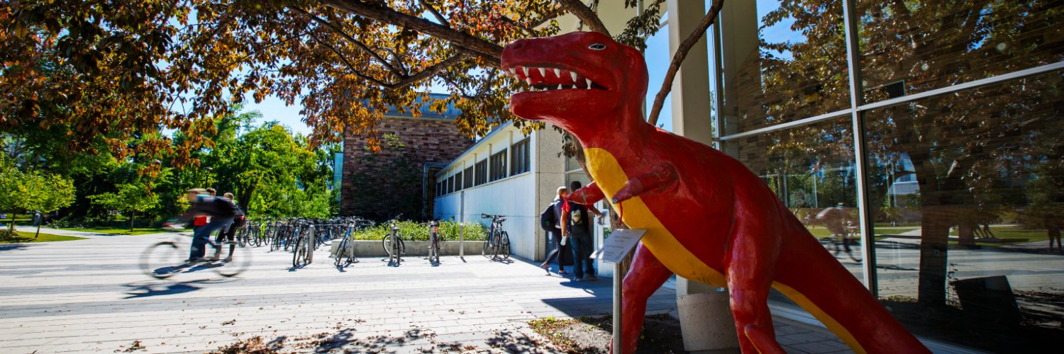 UCalgary Dinos Curling 🥌 banner