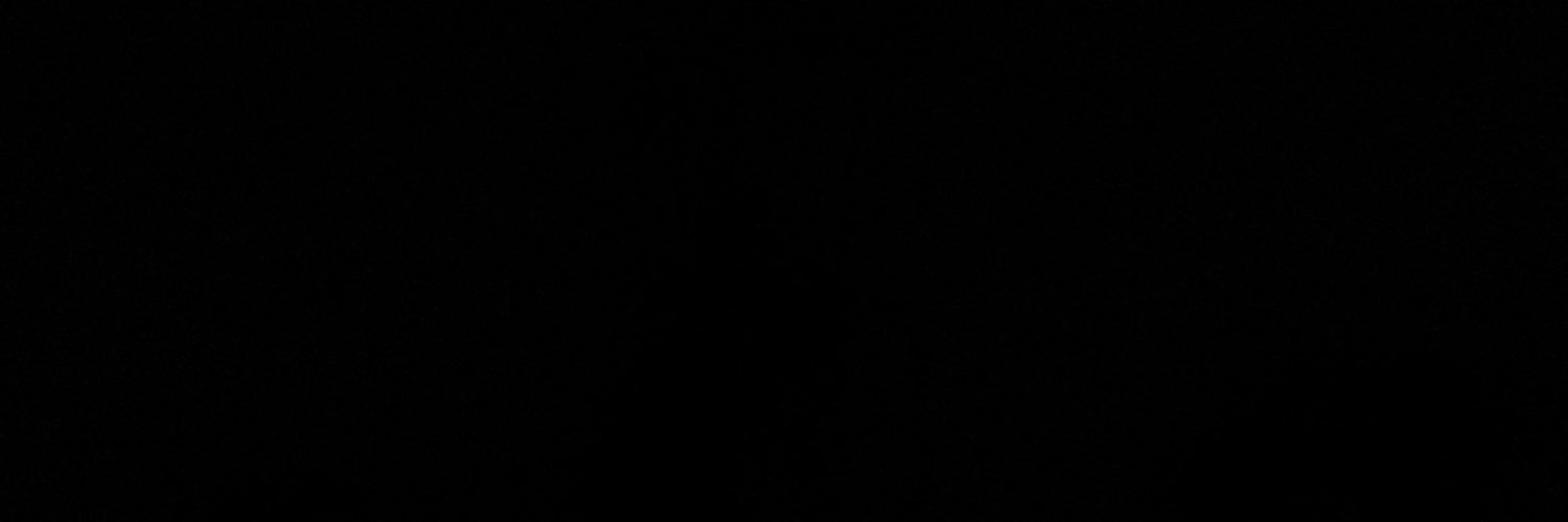 Leonard0zz's profile banner image