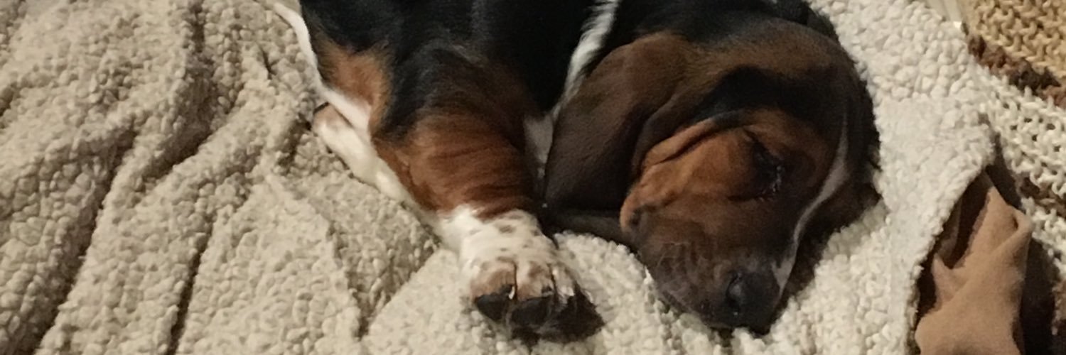 NemethChristy's profile banner image