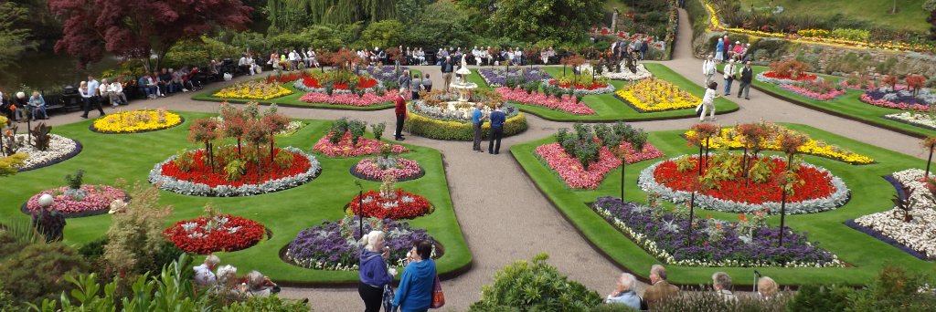 Shrewsbury in Bloom banner