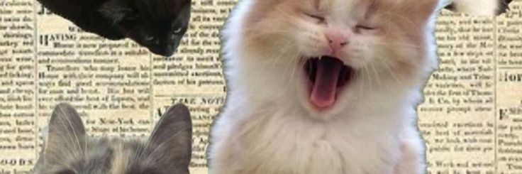 BClarkyyy's profile banner image