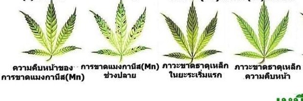 NorthernLaB banner