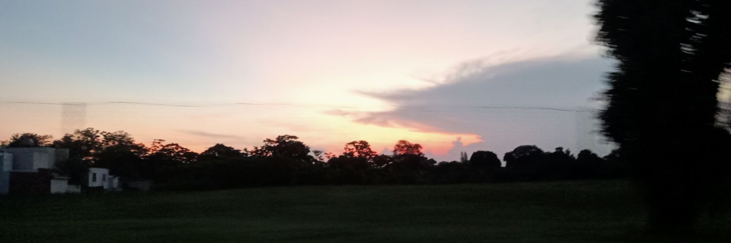 AlannaMaximoff's profile banner image
