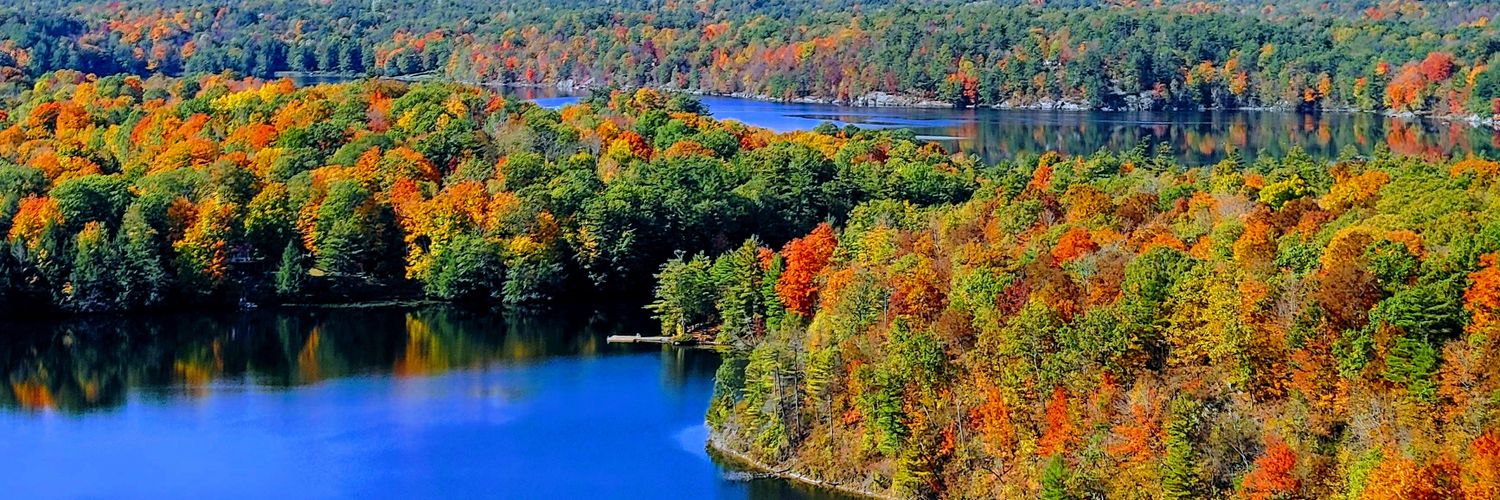 Will Robertson banner