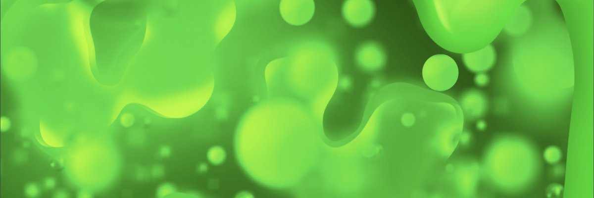SandroX banner