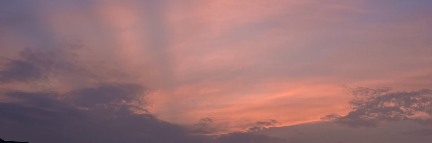 deniseTX banner