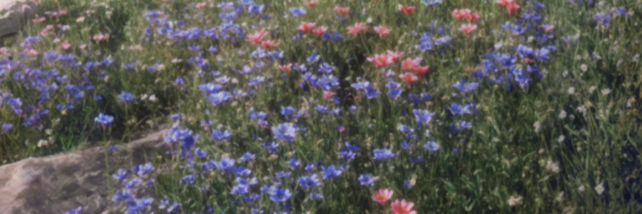 _ooov0's profile banner image