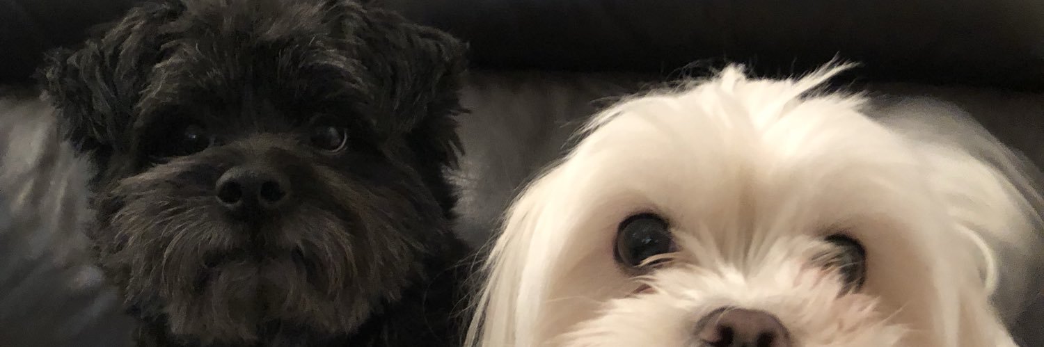 awwwhhvin's profile banner image