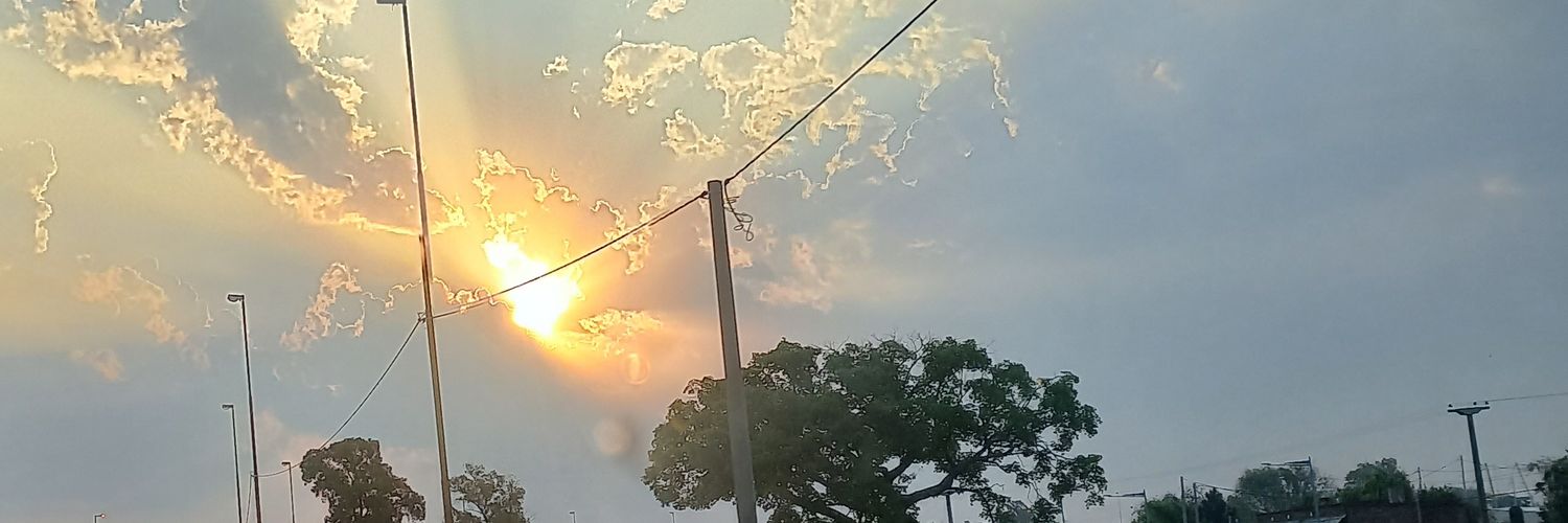 Alefranzolini's profile banner image