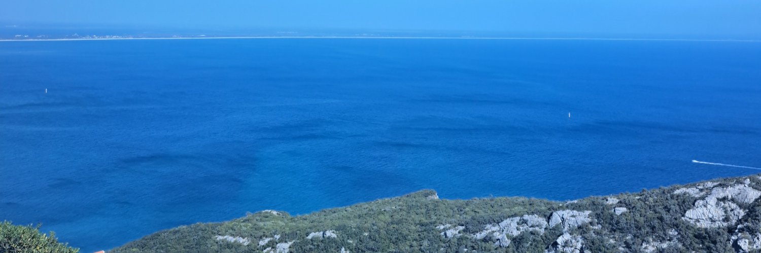 sofiamfarinhaaa's profile banner image