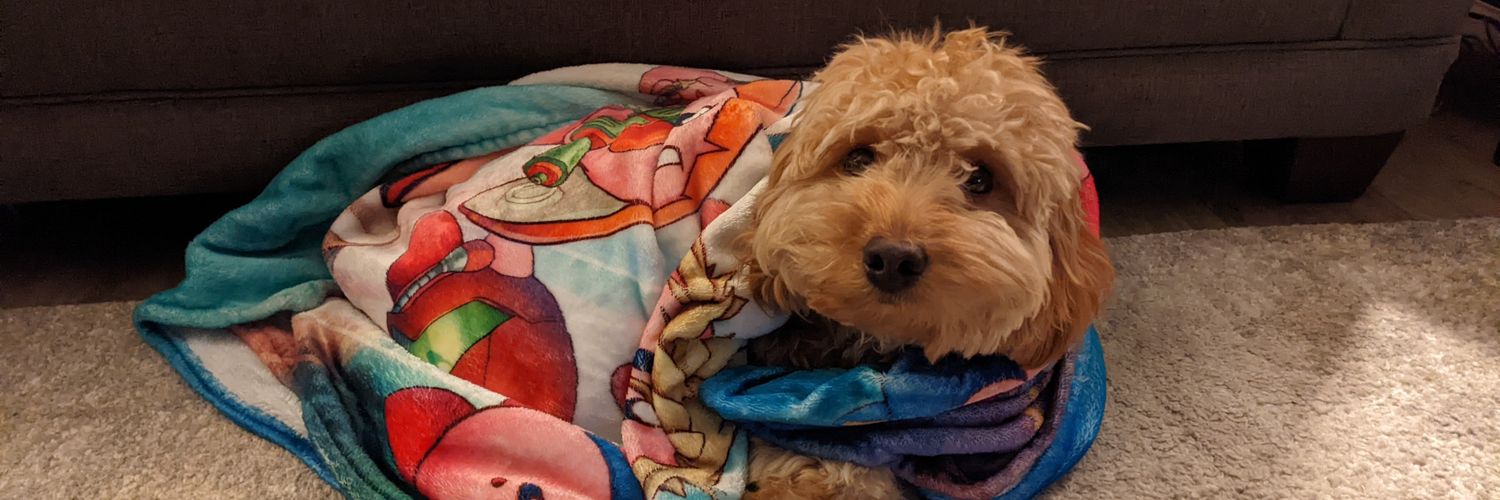 Ted (he/him) tedsblog.bsky.social banner