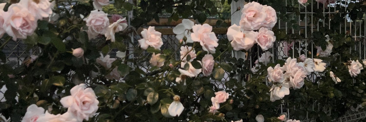 ぎるきてぃ's banner