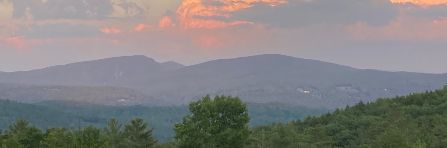 Stella Rose Schneeberg banner