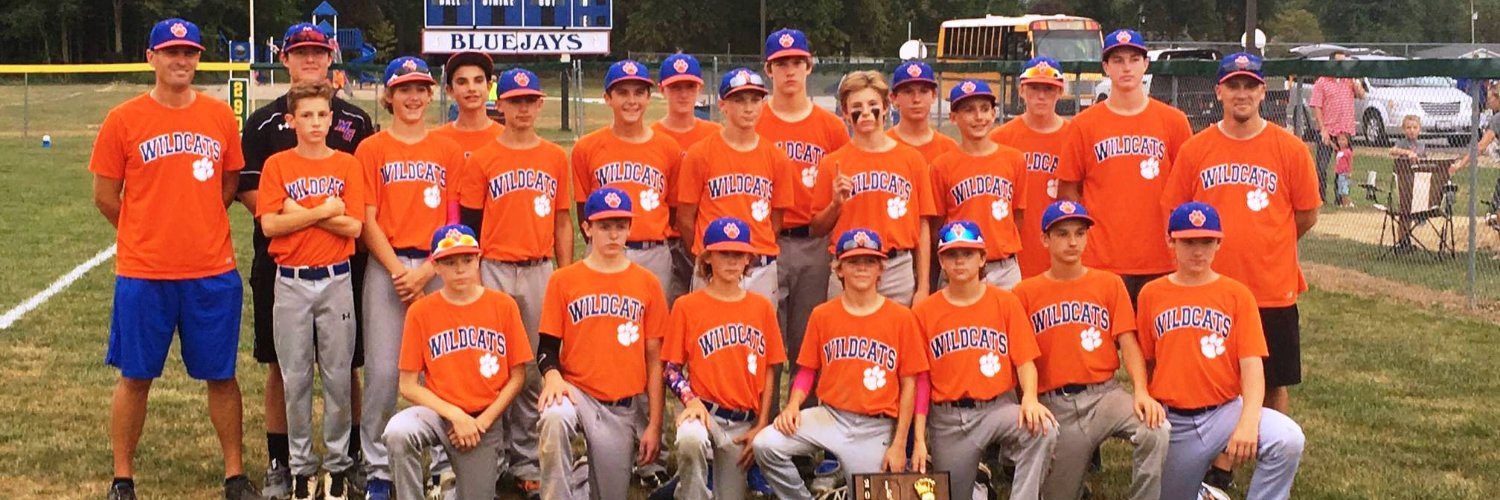Edwardsville Lincoln Middle School Baseball banner