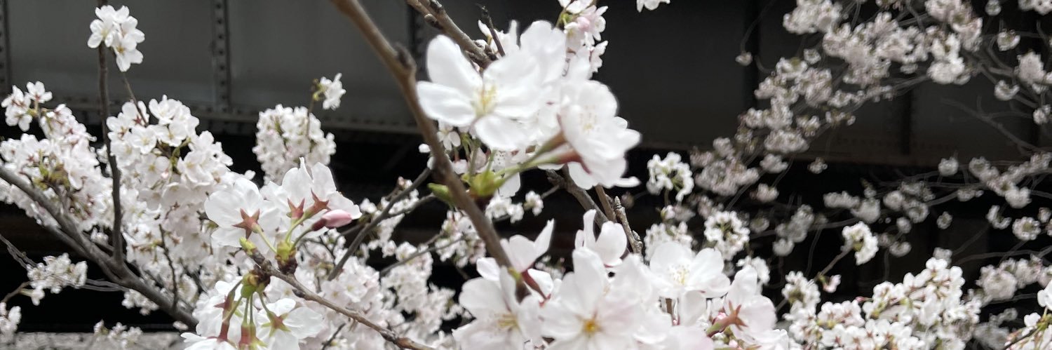 MoMaMooN's profile banner image